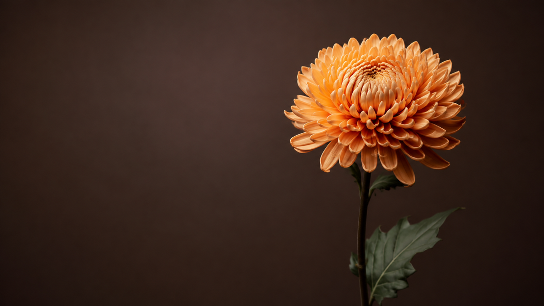 For the Late Bloomers: Your Timeline Is Not Your Limit